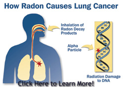 What illness does radon gas cause?